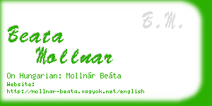 beata mollnar business card